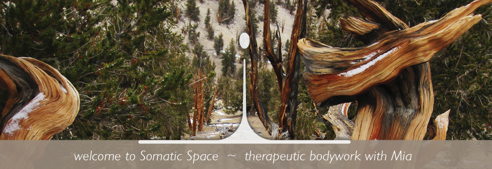 Welcome to Somatic Space